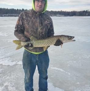 Meet your Posher, Steve